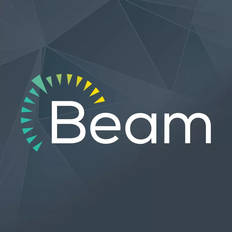 2019-beam