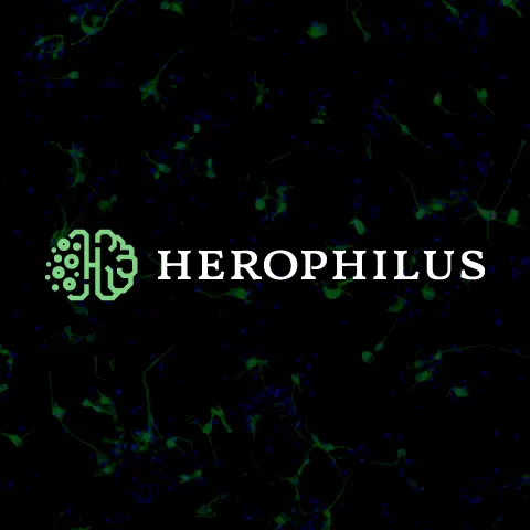 2021-herophilus