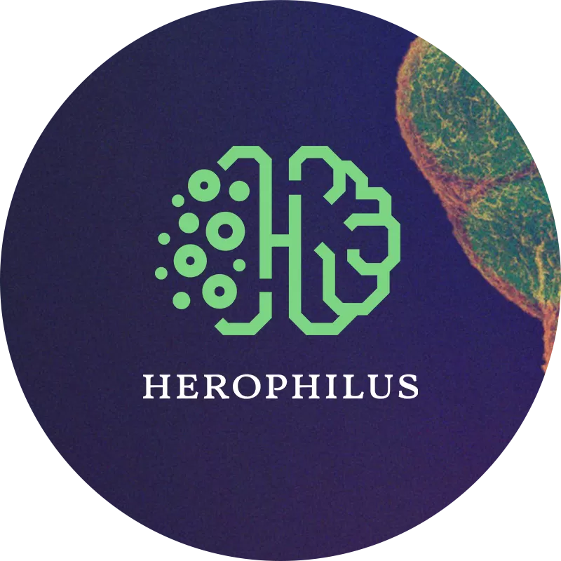 Herophilus