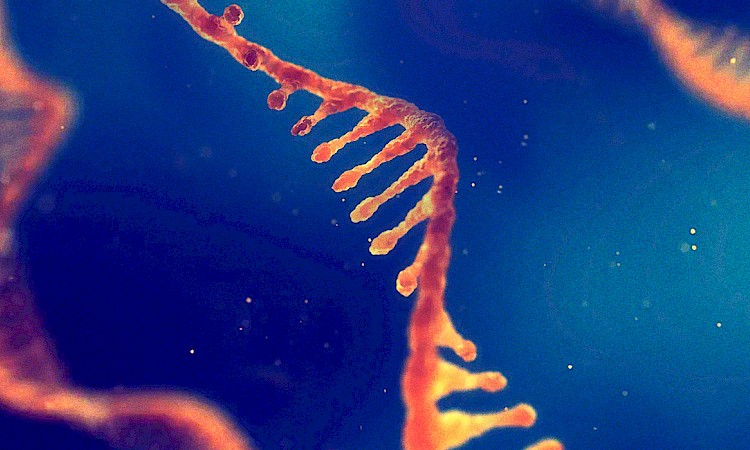 Gene Therapy for Rett Highlights 2023