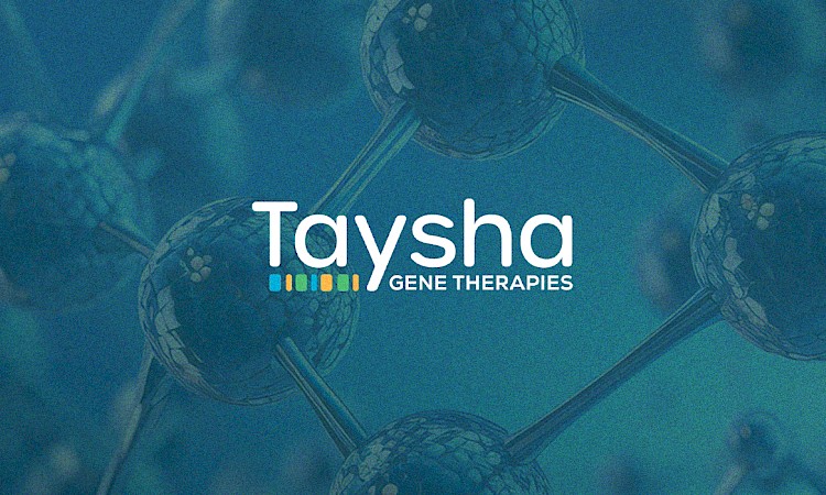 Taysha Update