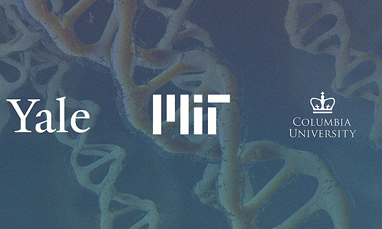 Gene Editing