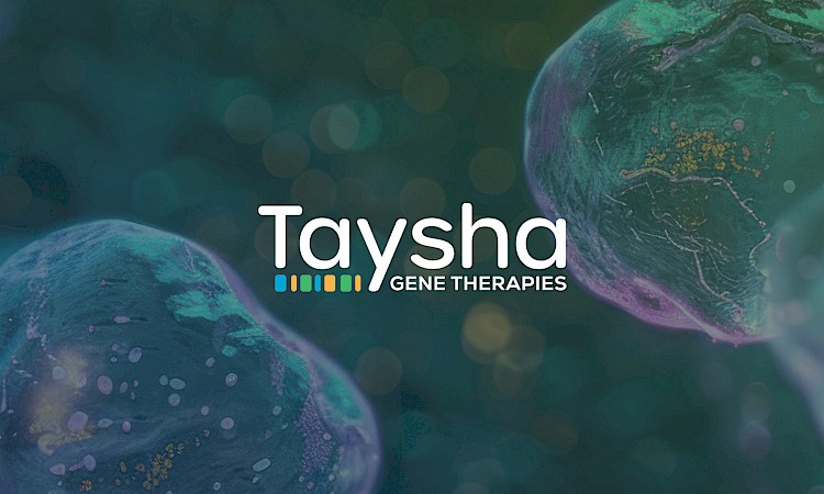 Taysha Update