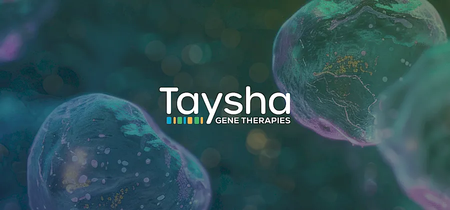 Taysha Update