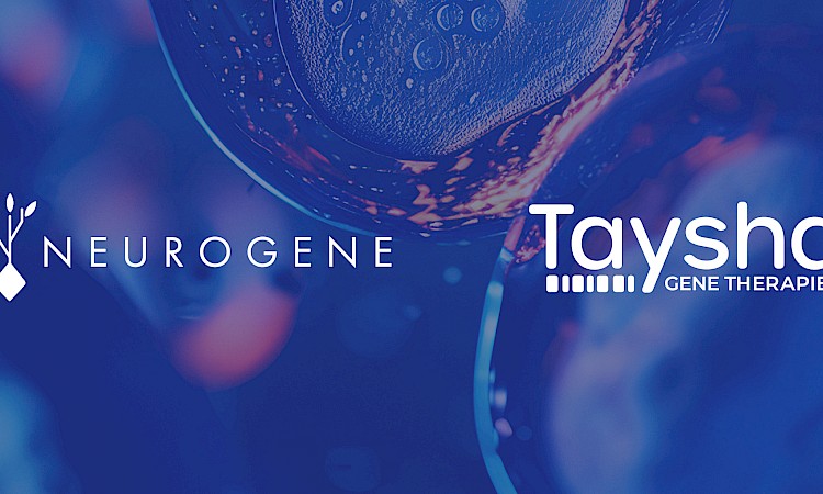 Neurogene