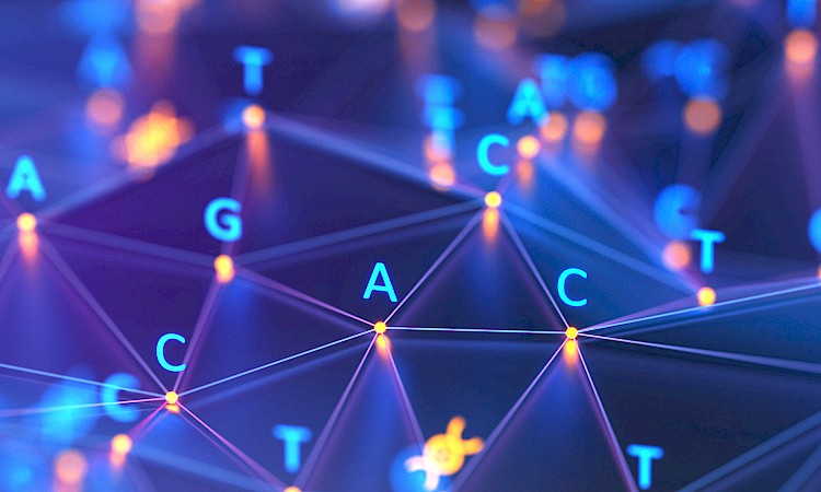 MECP2 Editing Consortium