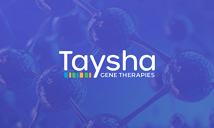 Taysha Update