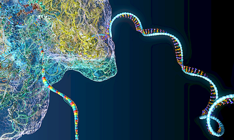 Apertura Gene Therapy