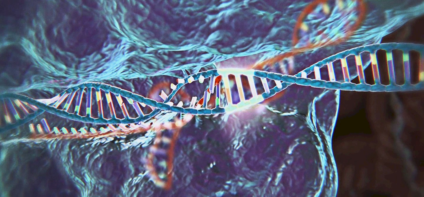Gene Editing Shows Potential for Treating Genetic Diseases Like Rett
