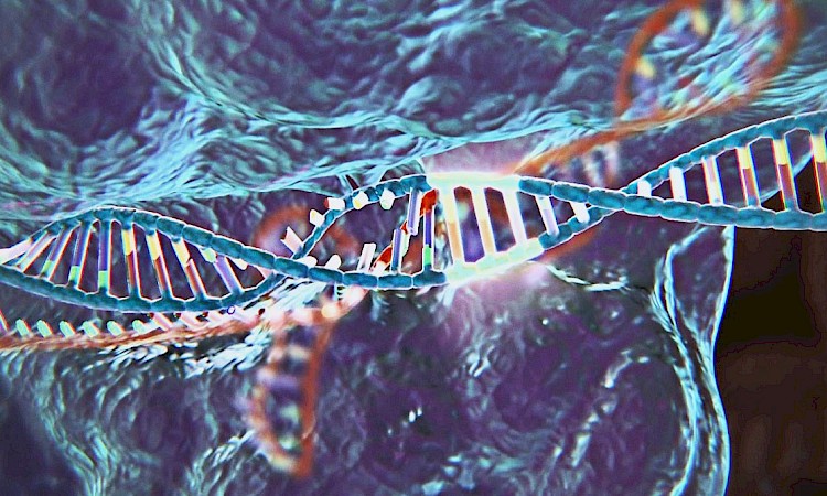 DNA