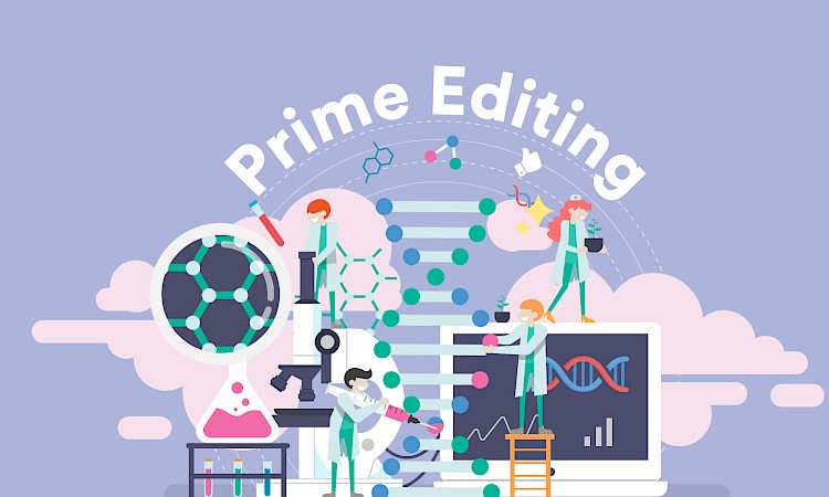 Gene Editing