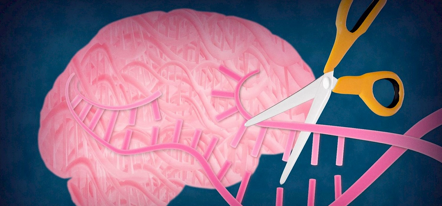 Scientists are thinking the unthinkable: CRISPR might one day reverse devastating brain diseases