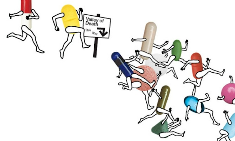 Drug Discovery