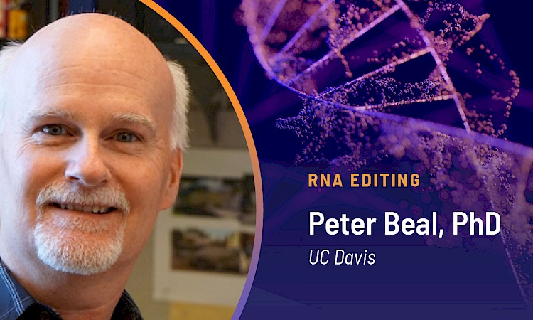 RNA Editing