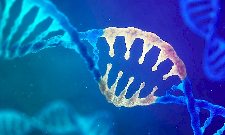 Gene Therapy for Rett Highlights 2023