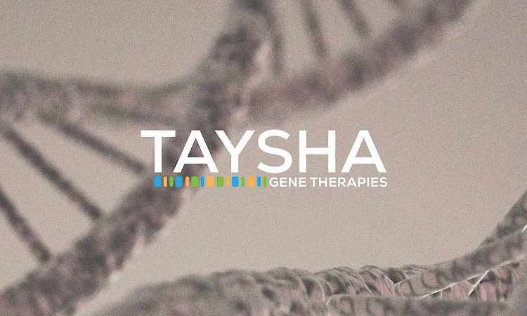 Taysha Update